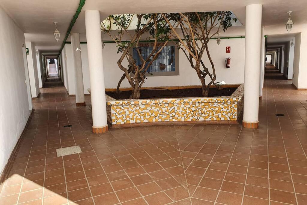 Apartament Gioiellino Costa Adeje  Zewnętrze zdjęcie